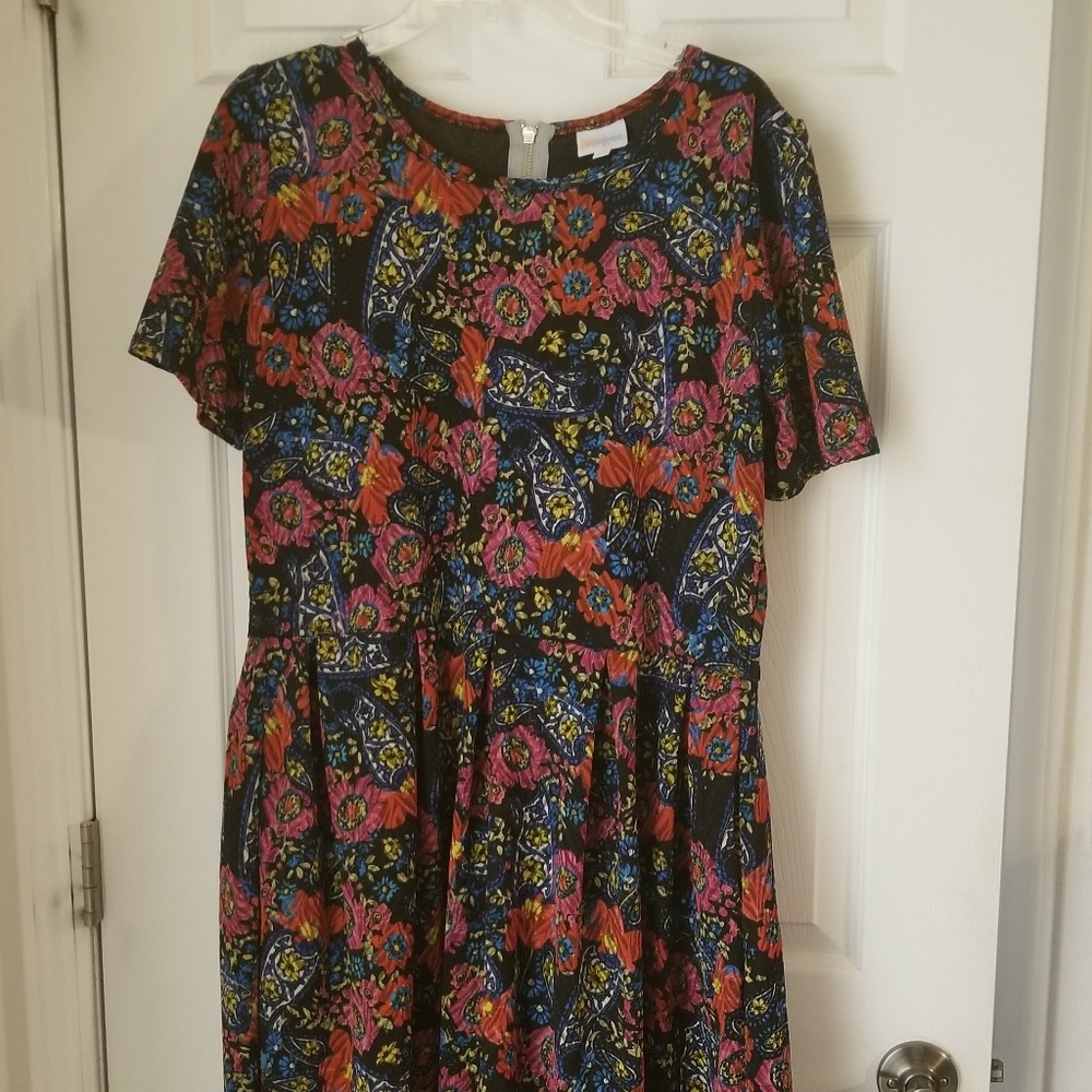 LuLaRoe Paisley and  floral Dress